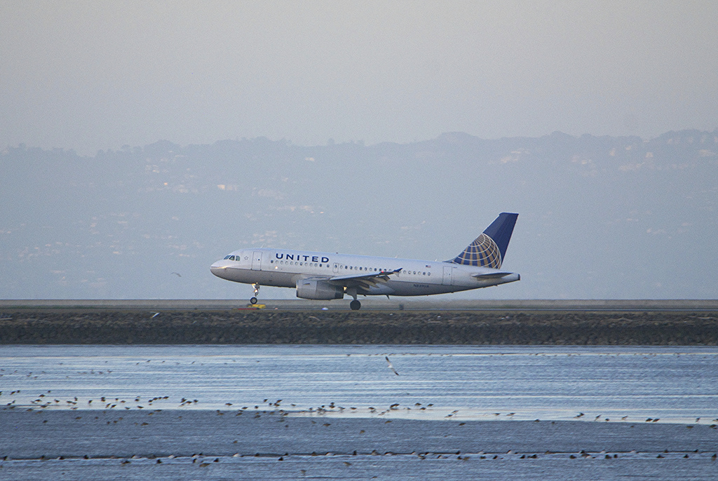 Photo of United N839UA, Airbus A319