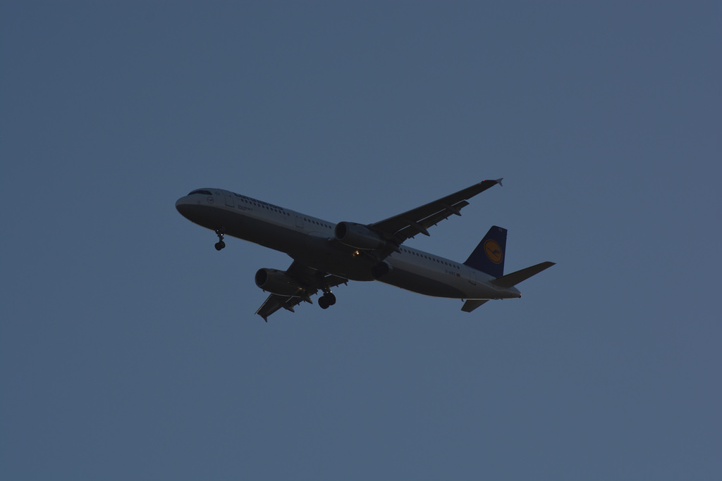Photo of Lufthansa D-AIRO, Airbus A321
