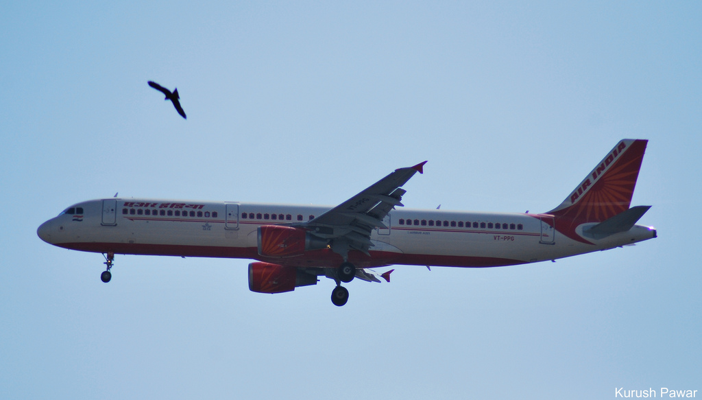 Photo of Air India VT-PPG, Airbus A321
