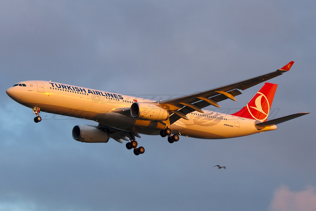 Photo of THY Turkish Airlines TC-JNI, Airbus A330-300