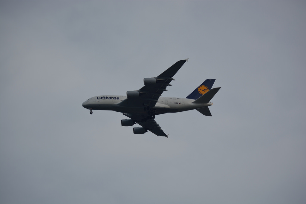 Photo of Lufthansa D-AIML, Airbus A380-800