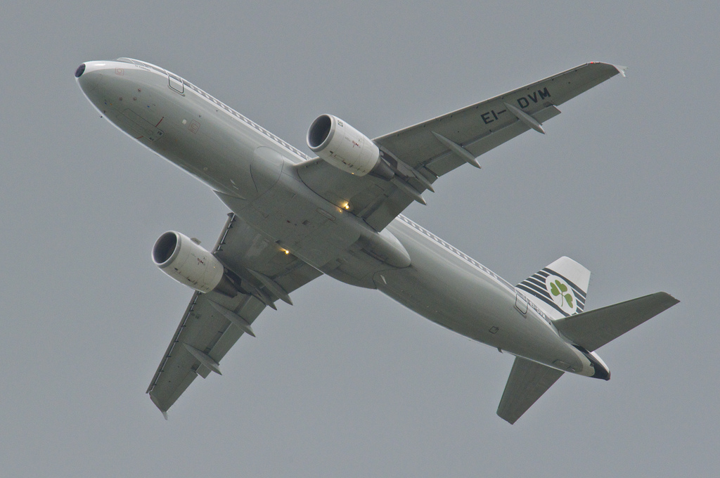 Photo of Aer Lingus EI-DVM, Airbus A320