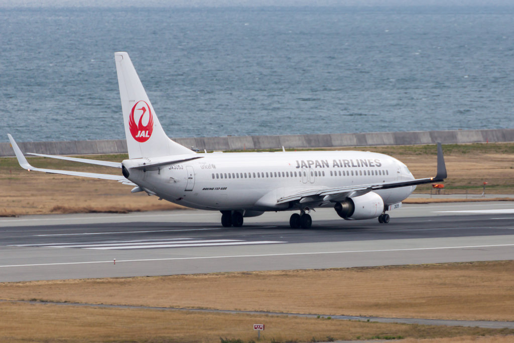 Photo of JAL Japan Airlines JA305J, Boeing 737-800