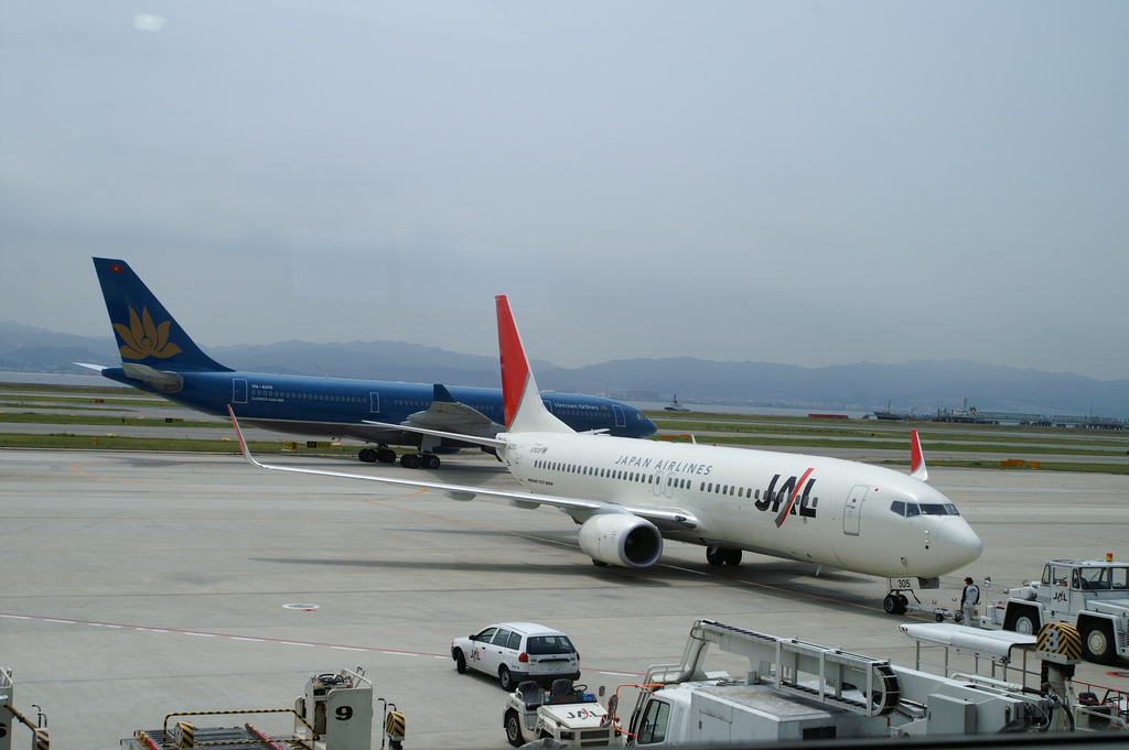 Photo of JAL Japan Airlines JA305J, Boeing 737-800