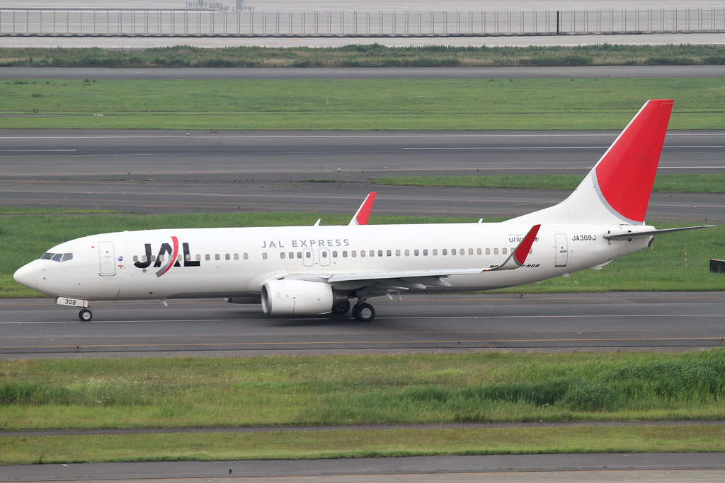 Photo of JAL Japan Airlines JA309J, Boeing 737-800