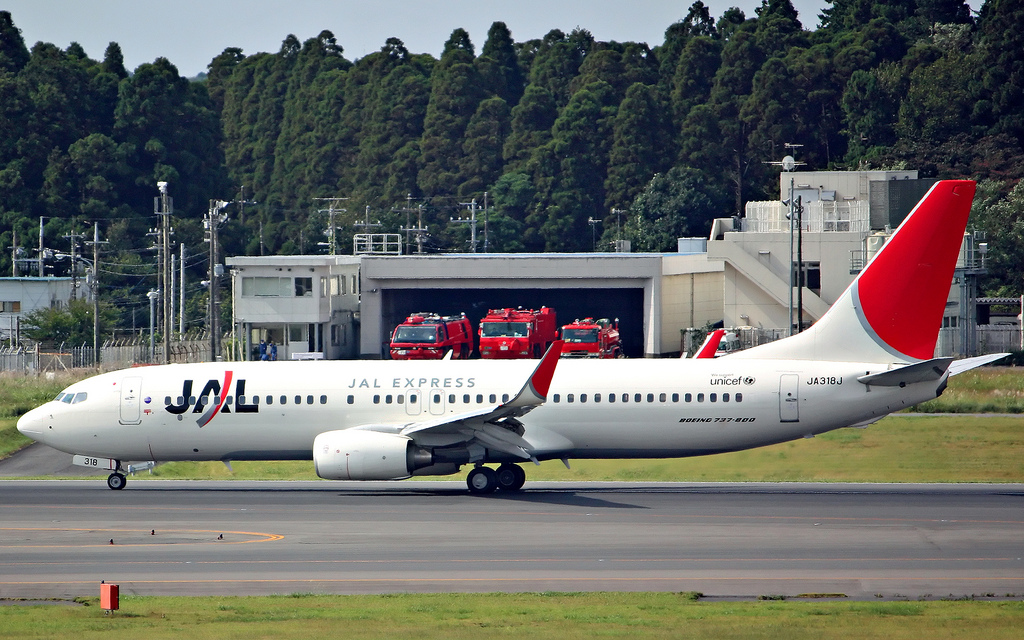 Photo of JAL Japan Airlines JA318J, Boeing 737-800