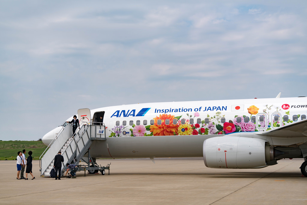 Photo of ANA All Nippon Airways JA85AN, Boeing 737-800