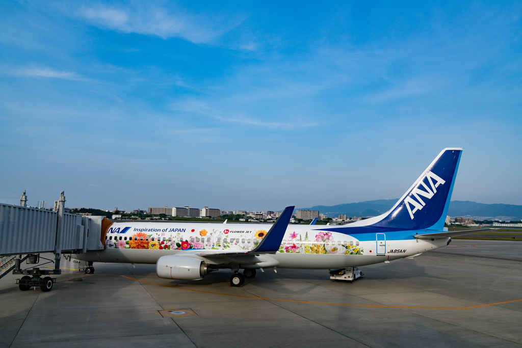Photo of ANA All Nippon Airways JA85AN, Boeing 737-800