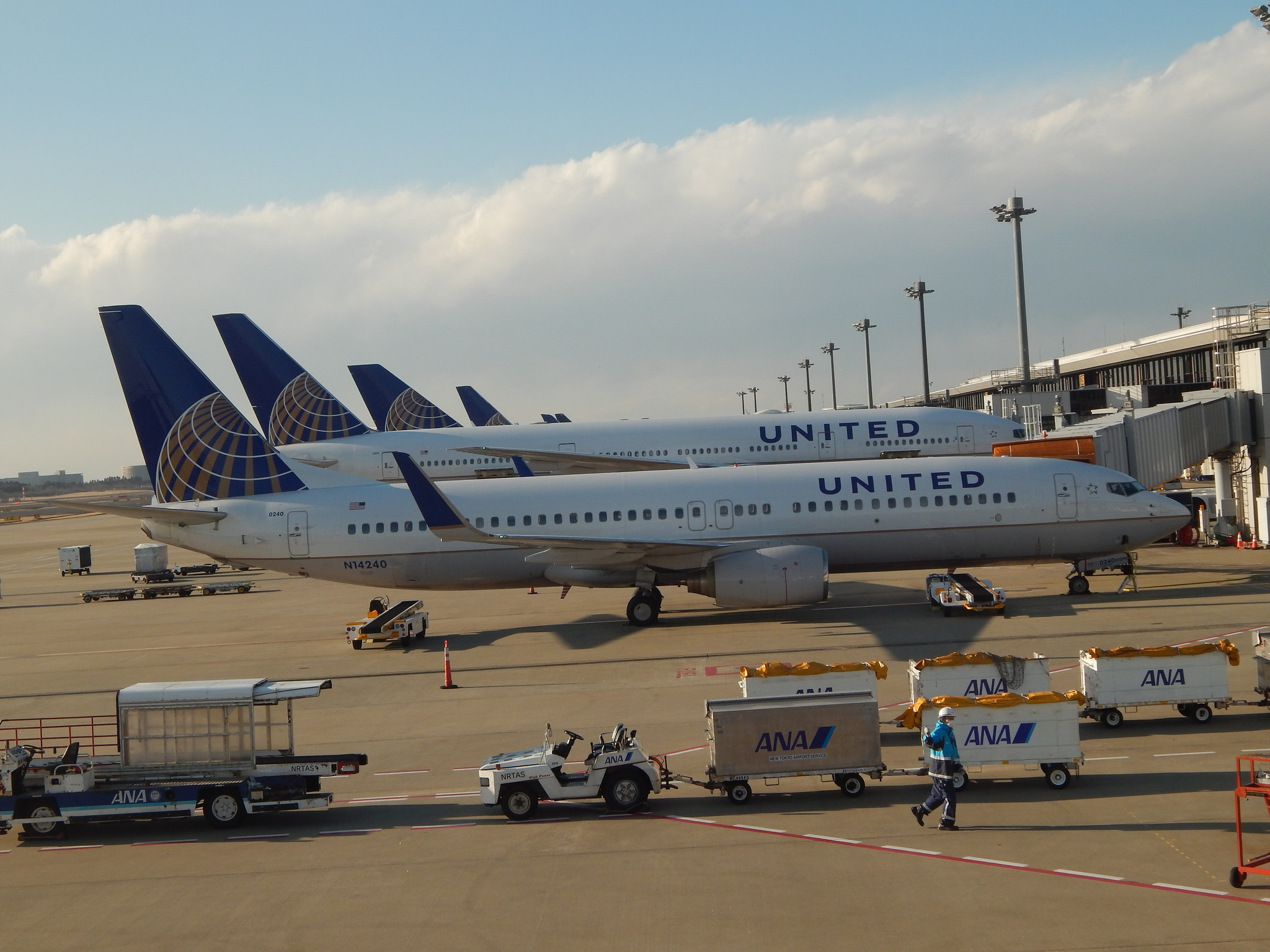 Photo of United N14240, Boeing 737-800