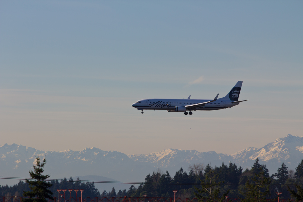 Photo of Alaska Airlines N319AS, Boeing 737-900