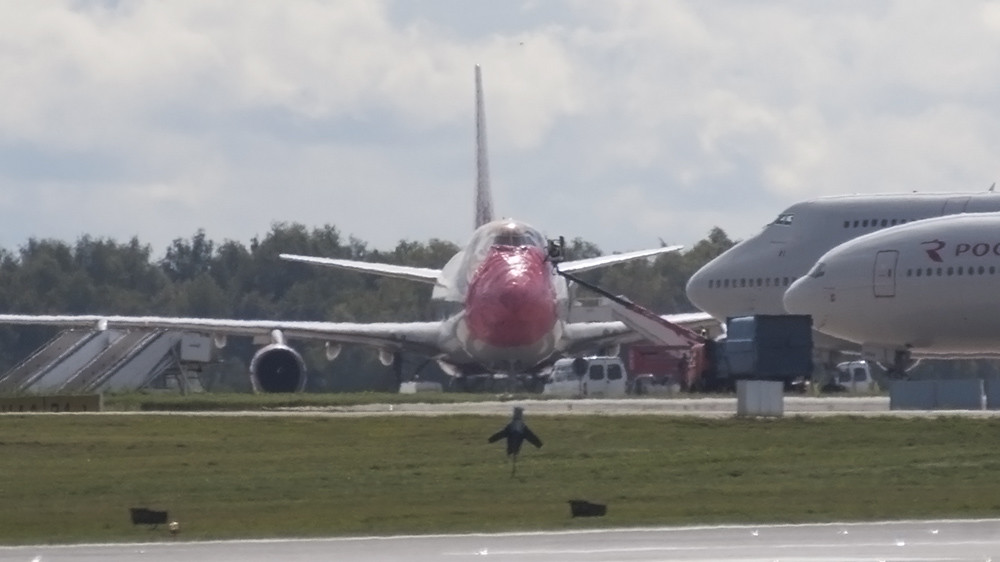 Photo of Rossiya EI-XLD, Boeing 747-400
