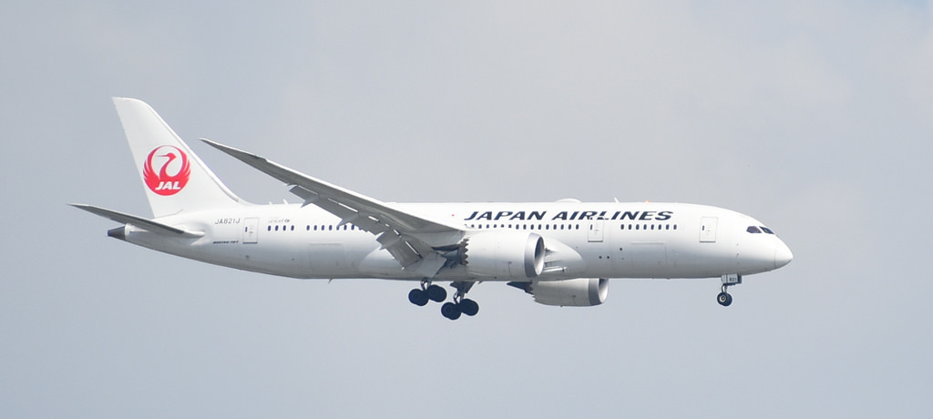 Photo of JAL Japan Airlines JA821J, Boeing 787-8 Dreamliner