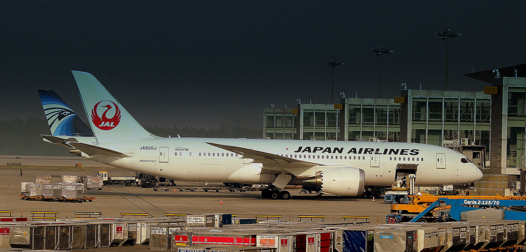 Photo of JAL Japan Airlines JA826J, Boeing 787-8 Dreamliner