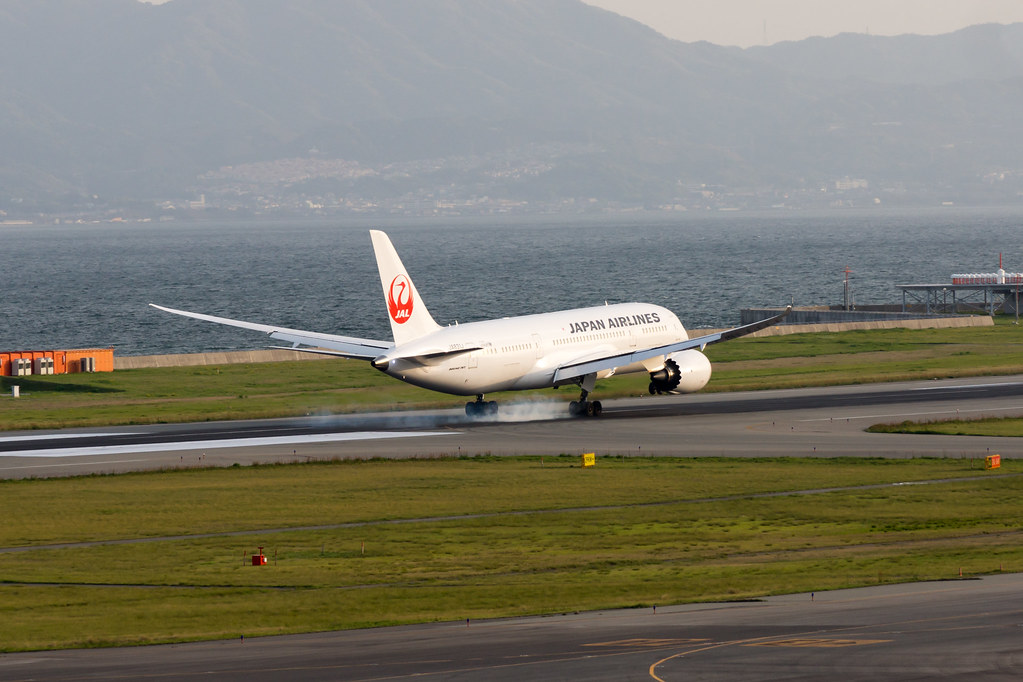Photo of JAL Japan Airlines JA831J, Boeing 787-8 Dreamliner