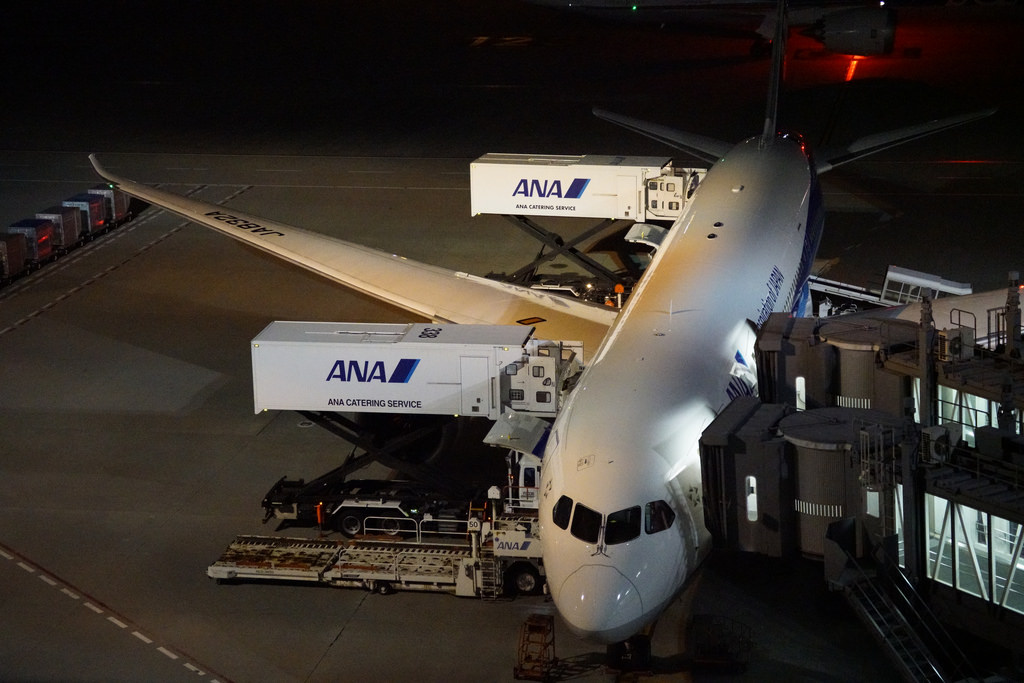 Photo of ANA All Nippon Airways JA832A, Boeing 787-8 Dreamliner
