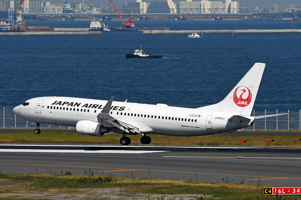 Photo of JAL Japan Airlines JA301J, Boeing 737-800