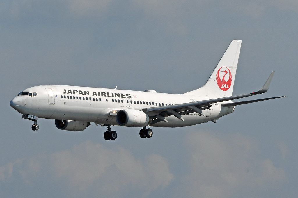 Photo of JAL Japan Airlines JA301J, Boeing 737-800