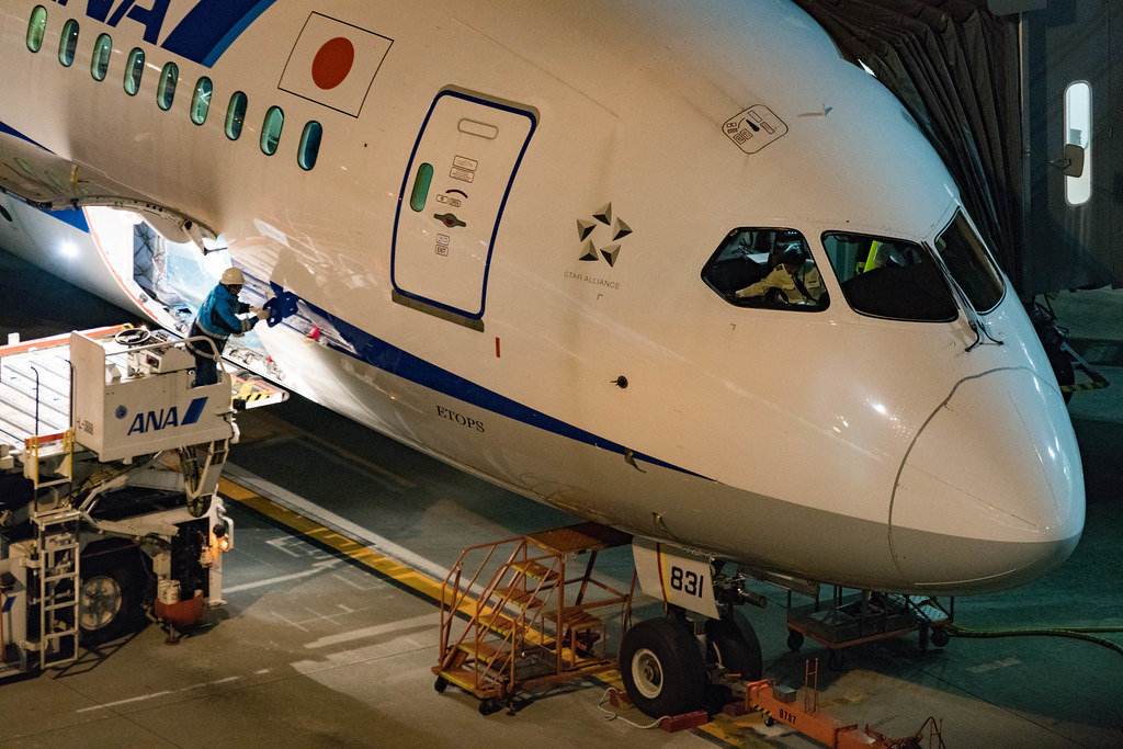 Photo of ANA All Nippon Airways JA831A, Boeing 787-8 Dreamliner
