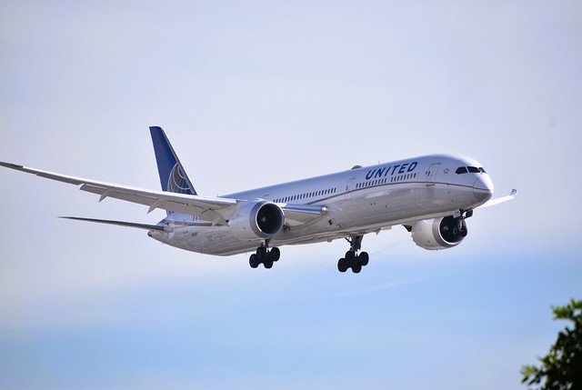 Photo of N16008