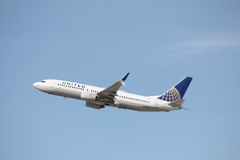 Photo of United N24202, Boeing 737-800