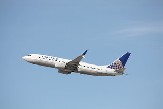 Photo of N24202