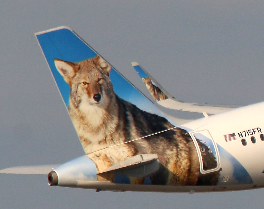 Photo of Frontier Airlines N715FR, Airbus A321