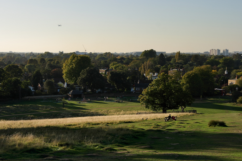 Image of Leafy London scenery at Richmond Park