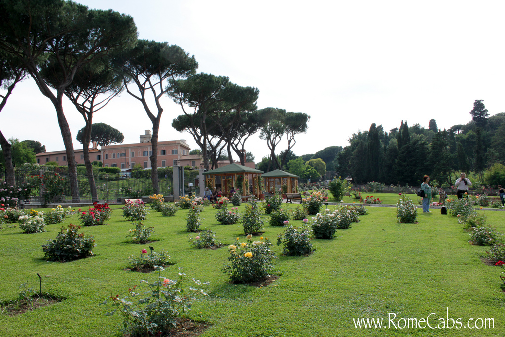 Image of Rose Garden, Aventine Hill (Rome)