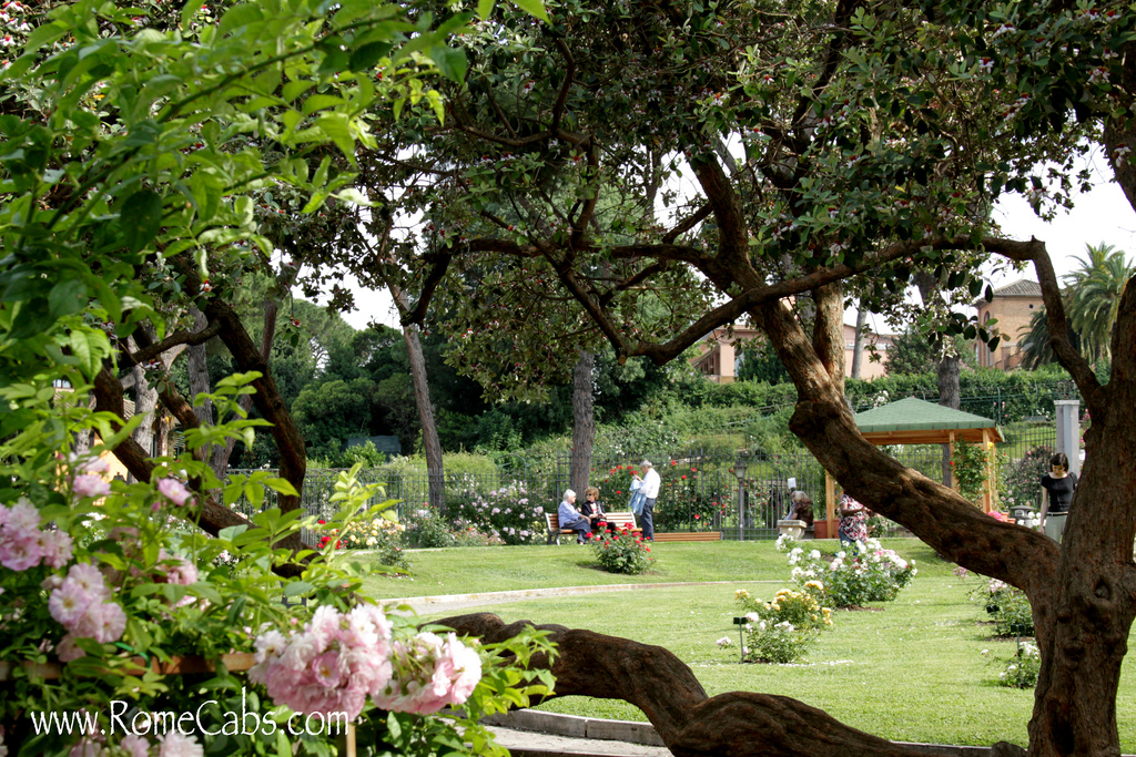 Image of Rose Garden, Aventine Hill (Rome)