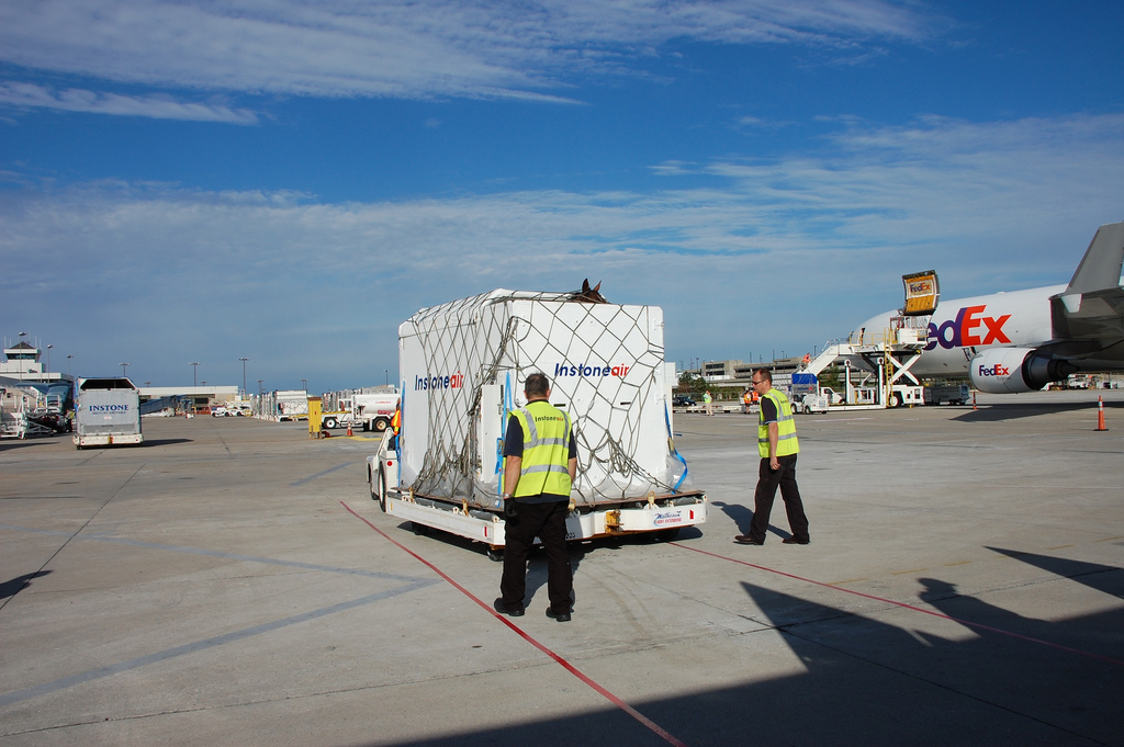 Image of WEG_horse in a box