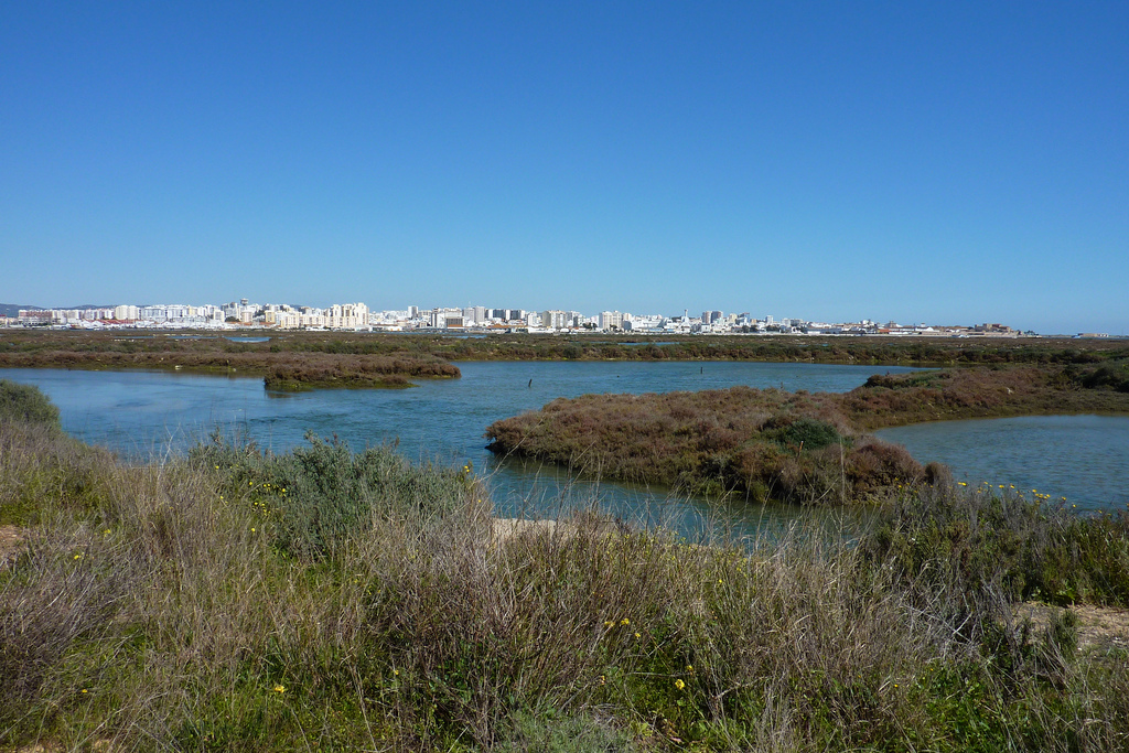 Image of Portugal, Faro - nature reserve by airport