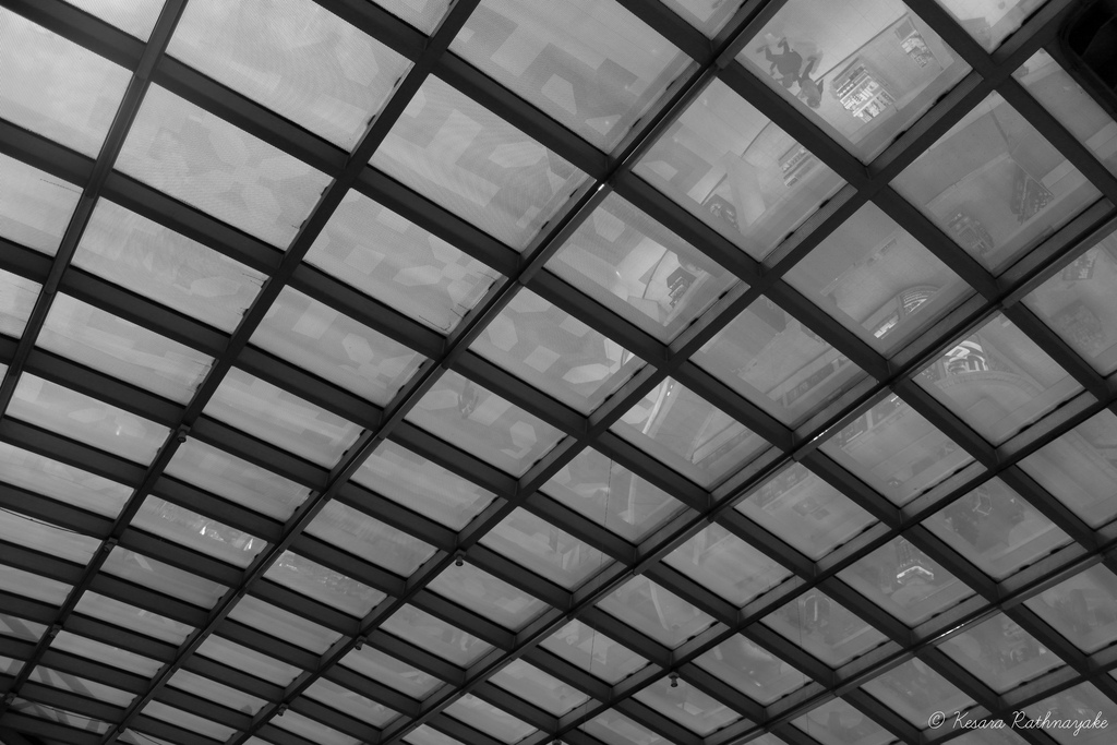 Image of IMG_0013_20130131 